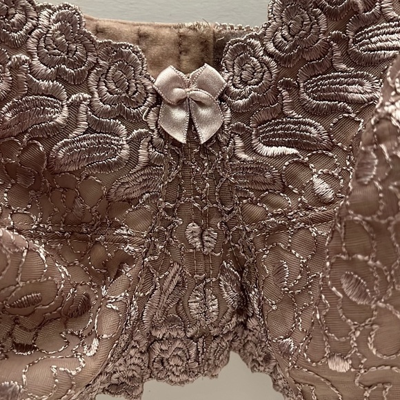 Amoureuse Embroidered Lace Beautiful Bra size 38DD - Picture 3 of 11